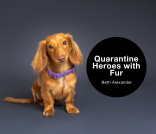 Quarantine Heroes With Fur book cover
