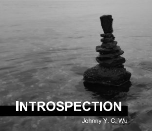 Introspection book cover