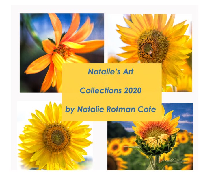 Visualizza Natalie's Art di Natalie Rotman Cote