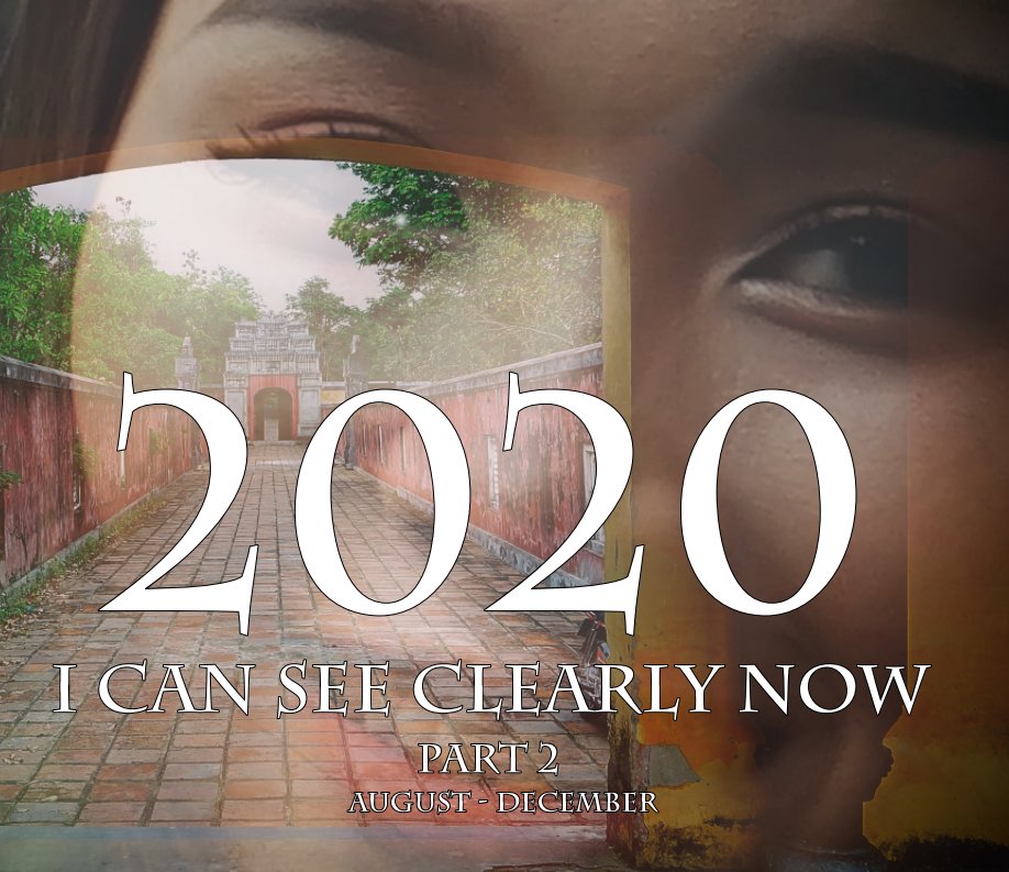 View 2020 I Can See Clearly Now by John Scott