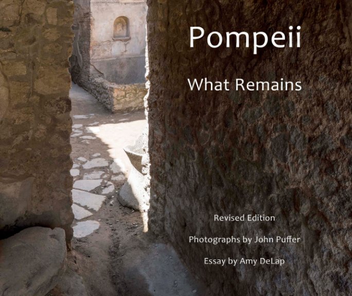 View Pompeii: What Remains - Revised Edition by John Puffer