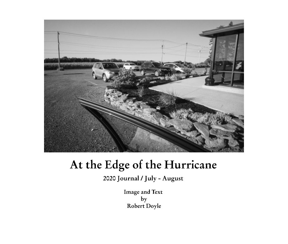 View At the Edge of the Hurricane by Robert Doyle