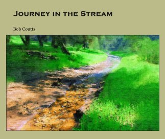Journey in the Stream book cover