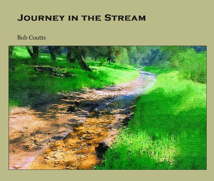 View Journey in the Stream by Bob Coutts