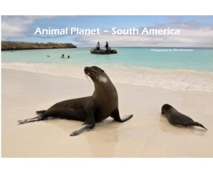 Animal Planet ~ South America book cover
