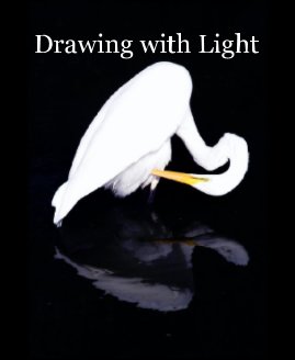 Drawing with Light book cover