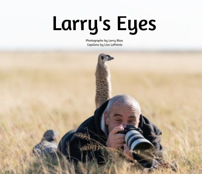 Larry's Eyes book cover