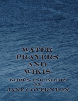 Water Prayers and Wikis book cover