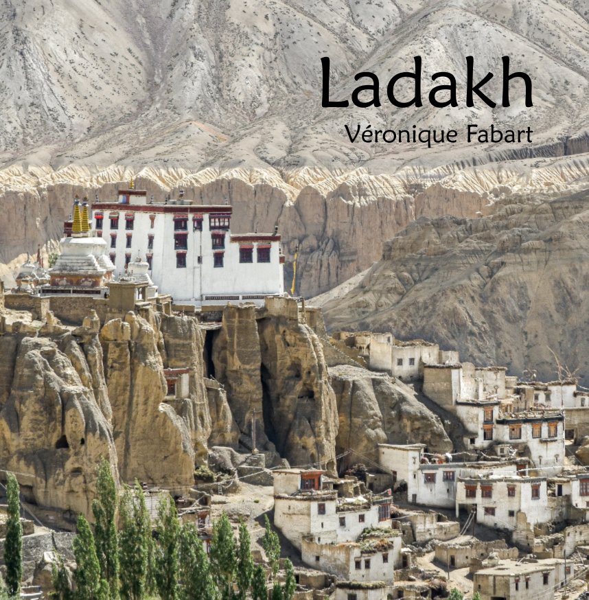 View Ladakh by Véronique Fabart