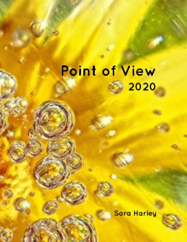 Point of View 2020 book cover