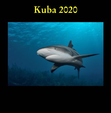 Kuba 2020 book cover
