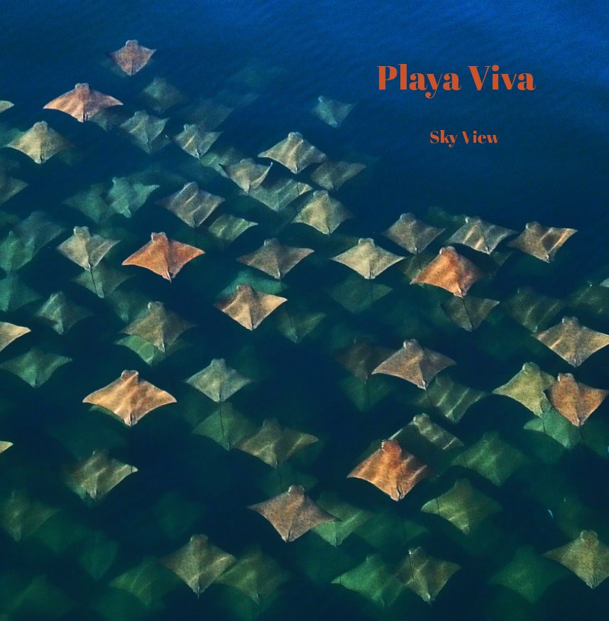 Visualizza Playa Viva - Sky View 12x12 di SHEA