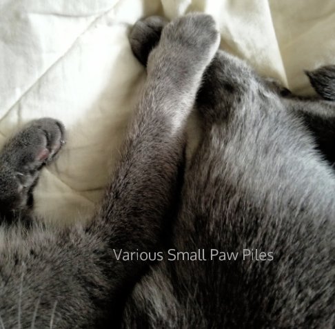 Visualizza Various Small Paw Piles Black and White di Heather Bennett
