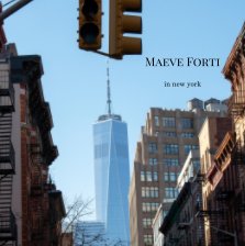 in new york book cover