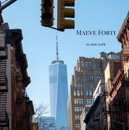 View in new york by Maeve Forti