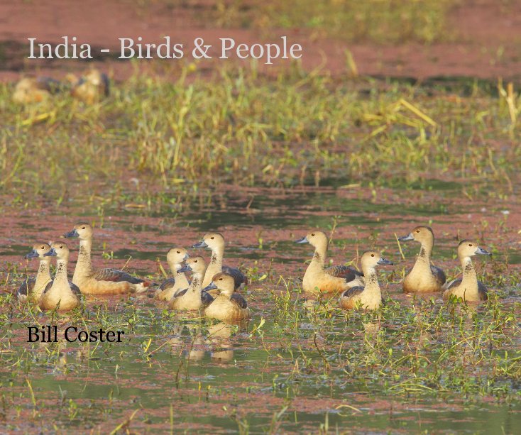Ver India - Birds & People por Bill Coster