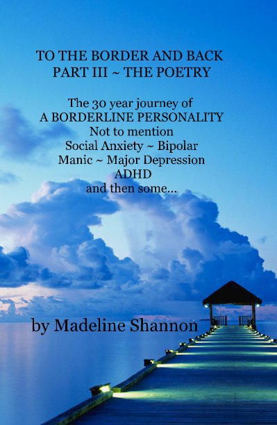 View TO THE BORDER AND BACK ~ PART III by Madeline Shannon