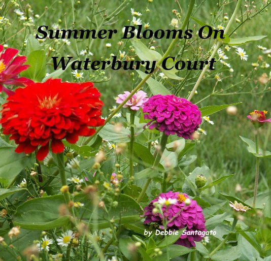 View Summer Blooms On Waterbury Court by Debbie Santagato