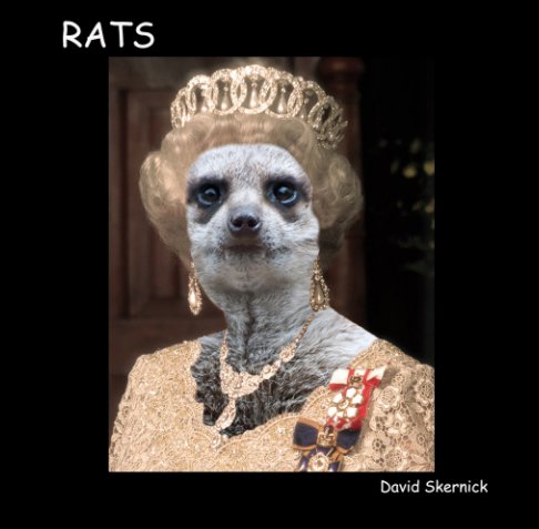 View Rats by David Skernick