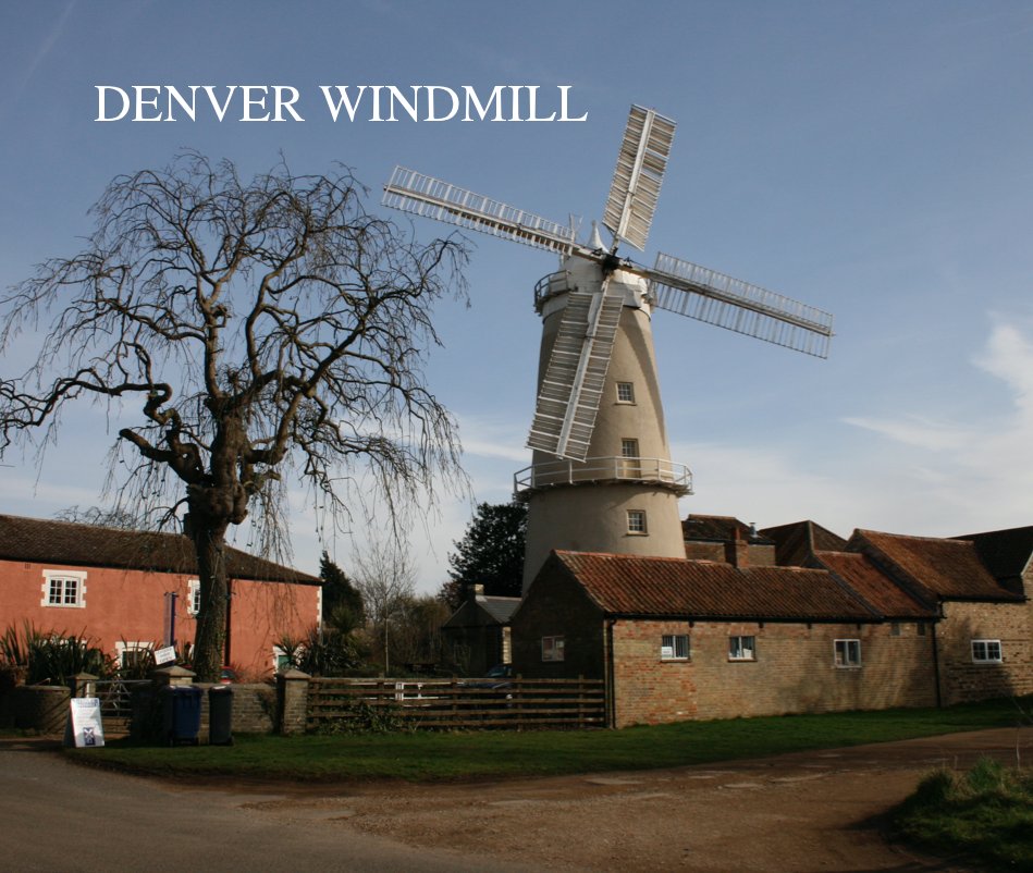 View DENVER WINDMILL by BRIAN J TURPIN