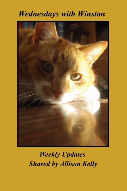 View Wednesdays with Winston by Allison Kelly