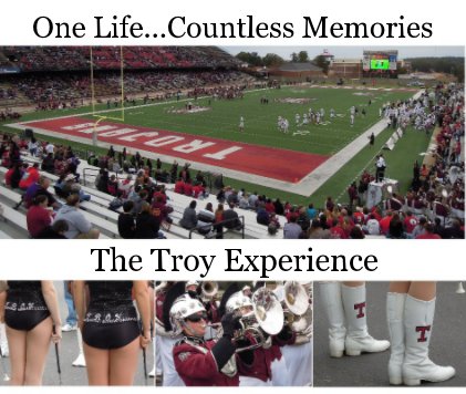 The Troy Experience book cover