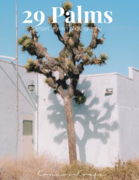 29 palms book cover