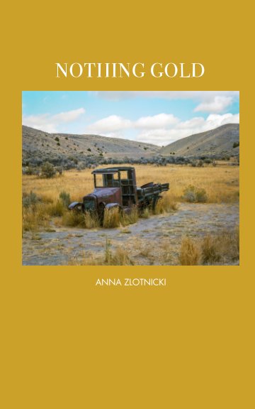 View Nothing Gold (catalog edition) by Anna Zlotnicki