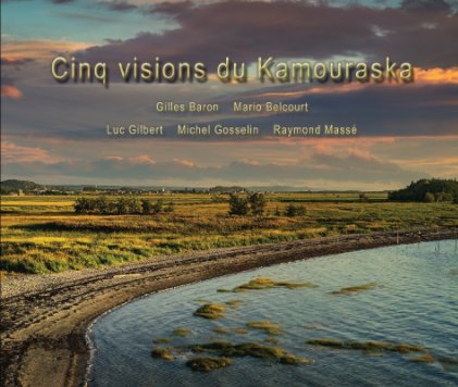 Cinq visions du Kamouraska book cover