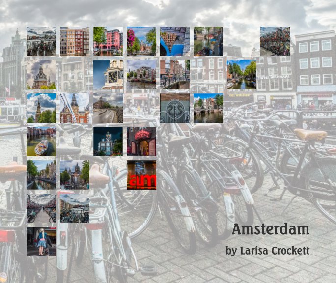 View Amsterdam by Larisa Crockett
