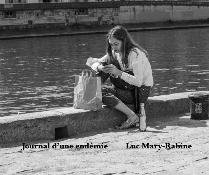 View Journal d'une endémie by Luc Mary-Rabine