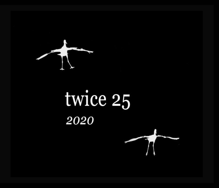 Ver twice 25 2020 por Larry Monczka, Kathy Pickard