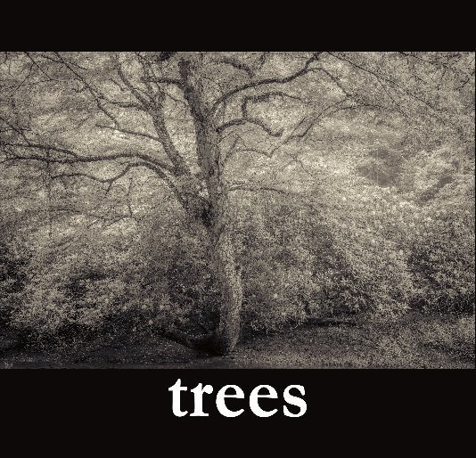 Ver trees por A Smith Gallery