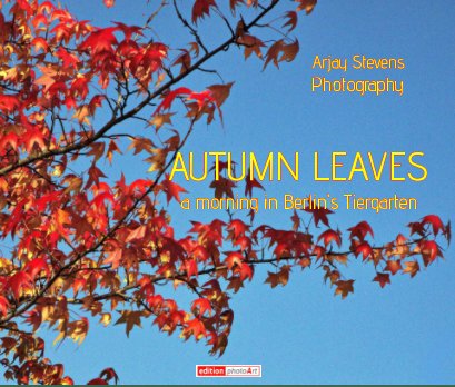 Arjay Stevens Photography AUTUMN LEAVES book cover