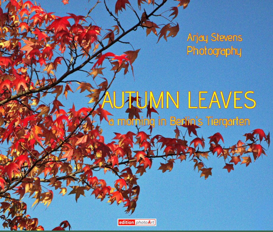 View Arjay Stevens Photography AUTUMN LEAVES by Arjay Stevens