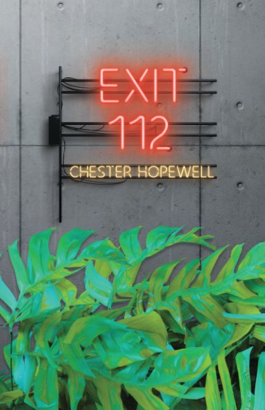 Exit 112 nach Chester Hopewell anzeigen