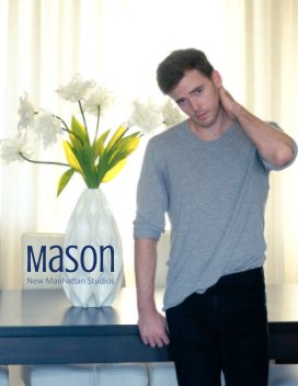 Mason book cover