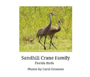 Sandhill Crane Family book cover
