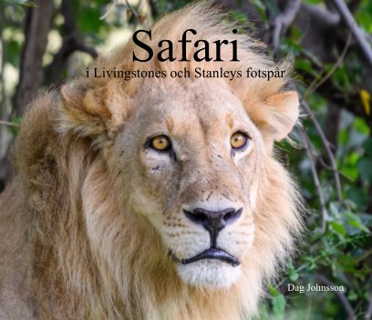 Safari i Livingstones och Stanleys fotspår book cover