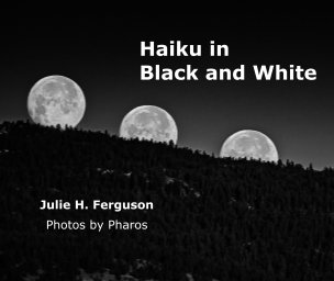 Haiku in Black and White book cover