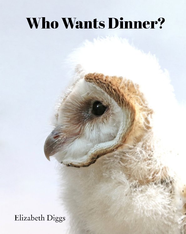 Visualizza Who Wants Dinner di Elizabeth Diggs