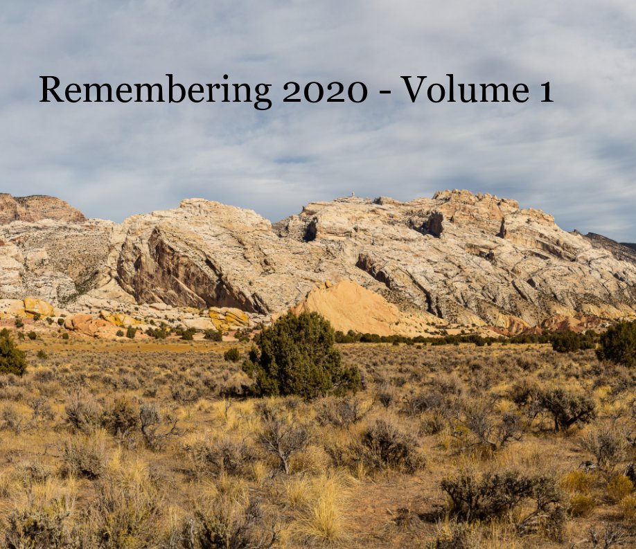 View Remembering 2020 Volume 1 by Art and Barbara Berggreen