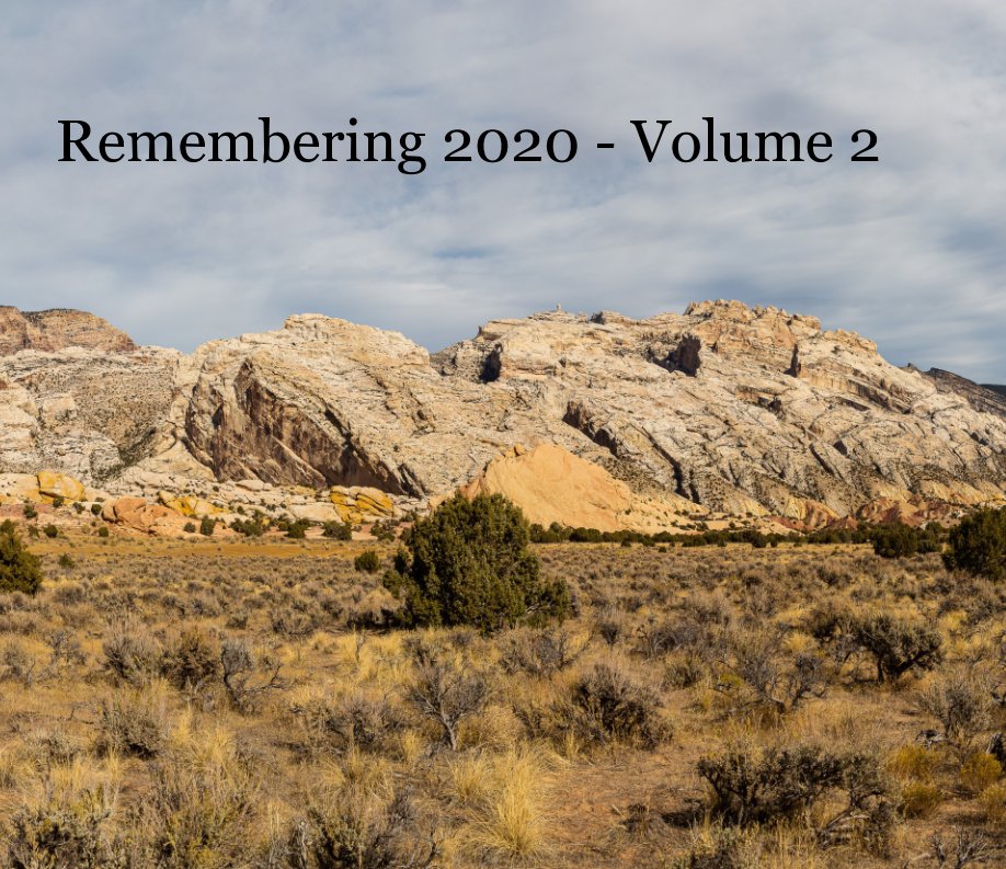 View Remembering 2020 Volume 2 by Art and Barbara Berggreen