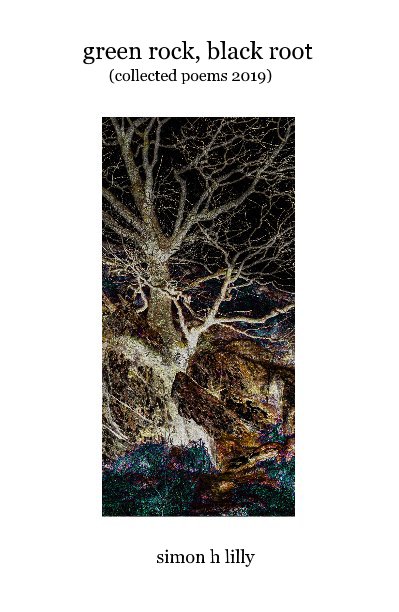 Visualizza green rock, black root (collected poems 2019) di simon h lilly