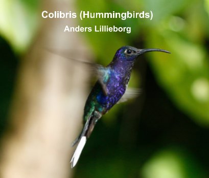 Colibris (Hummingbirds) book cover