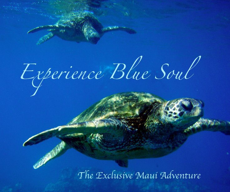 Visualizza Experience Blue Soul di Jonelle Littleton