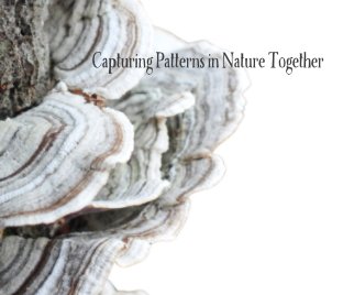 Capturing Patterns in Nature Together book cover