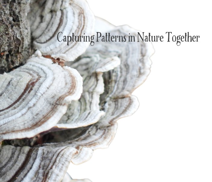 View Capturing Patterns in Nature Together by H Gowrie , R Gettings