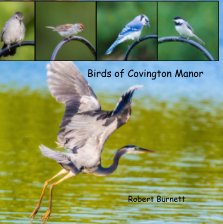 Birds of Covington Manor book cover