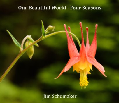 Our Beautiful World - Four Seasons book cover